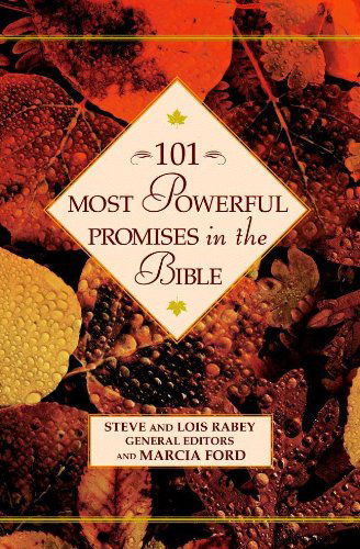 Cover for Steve &amp; Lois Rabey · 101 Most Powerful Promises in the Bible (Hardcover Book) (2003)