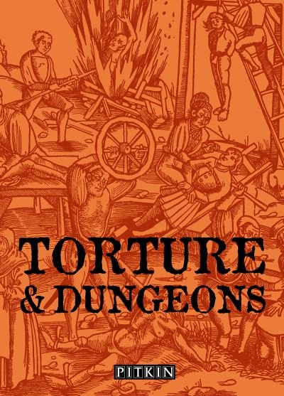 Cover for John McIlwain · Torture &amp; Dungeons (Paperback Book) (1998)