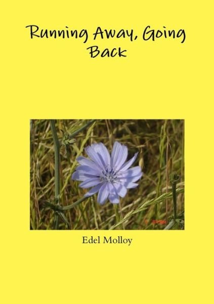 Cover for Edel Molloy · Running Away, Going Back (Bog) (2009)