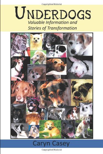 Cover for Caryn Casey · Underdogs: Valuable Information and Stories of Transformation (Paperback Book) (2010)