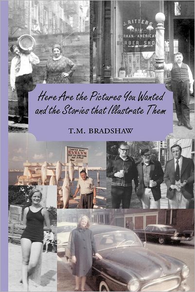 Cover for T M Bradshaw · Here Are the Pictures You Wanted and the Stories That Illustrate Them (Paperback Book) (2012)