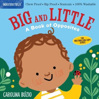 Cover for Amy Pixton · Indestructibles: Big and Little: A Book of Opposites: Chew Proof · Rip Proof · Nontoxic · 100% Washable (Book for Babies, Newborn Books, Safe to Chew) (Pocketbok) (2020)