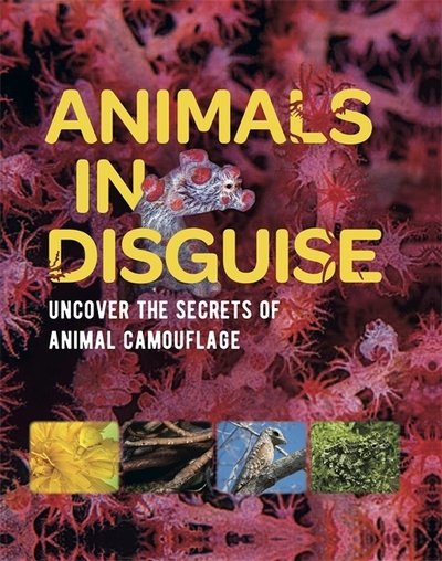Cover for Michael Bright · Animals in Disguise (Gebundenes Buch) (2020)