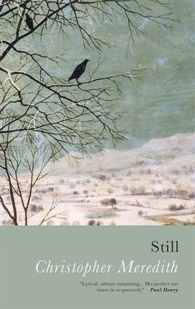 Cover for Christopher Meredith · Still (Paperback Book) (2021)