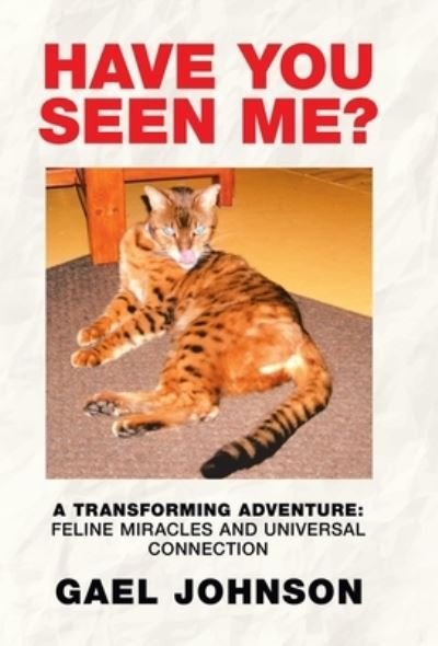 Cover for Gael Johnson · Have You Seen Me? (Hardcover Book) (2019)