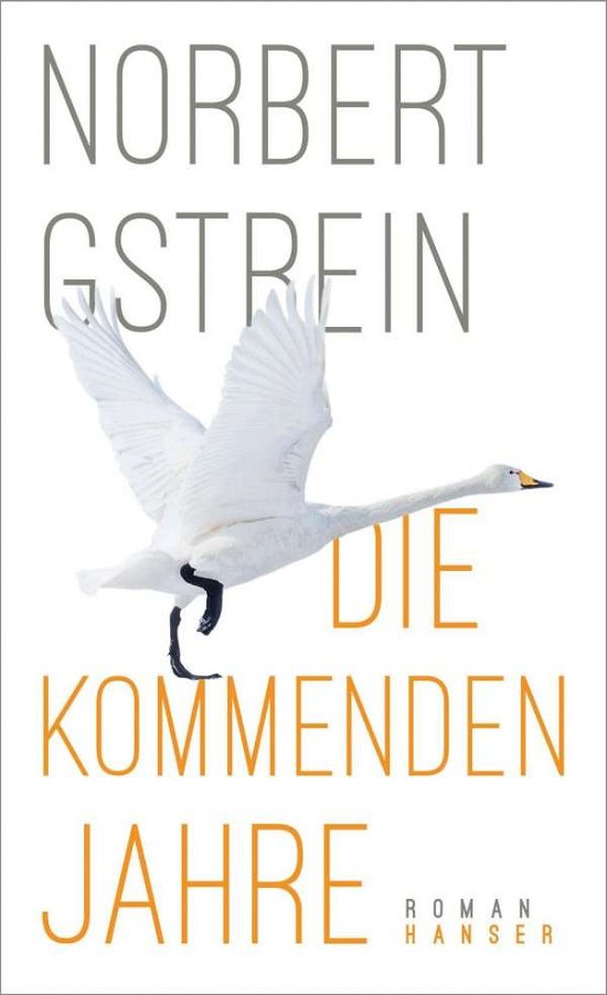 Die kommenden Jahre - Gstrein - Bøker -  - 9783446258143 - 