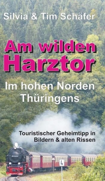 Cover for Schäfer · Am wilden Harztor: Im hohen Nor (Bok) (2017)