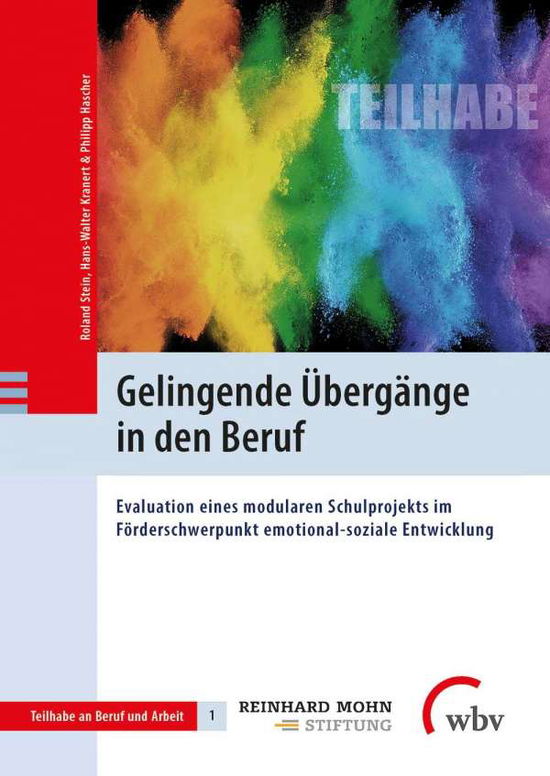 Cover for Stein · Gelingende Übergänge in den Beruf (N/A)