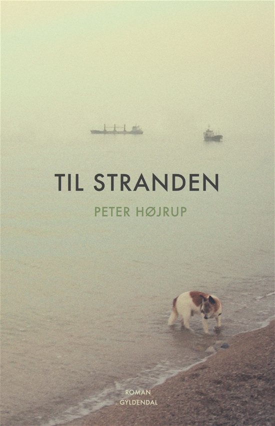 Cover for Peter Højrup · Til stranden (Hæftet bog) [1. udgave] (2017)