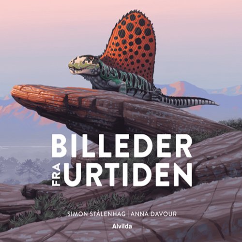 Cover for Anna Davour · Billeder fra urtiden (Bound Book) [1st edition] (2020)