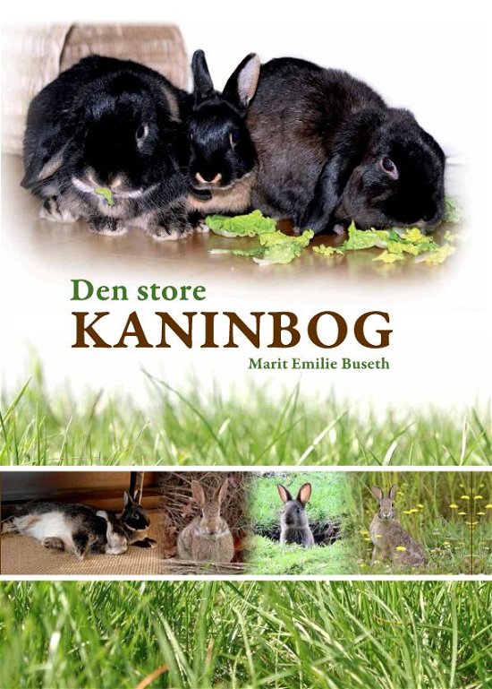 Cover for Marit Emilie Buseth · Den store kaninbog (Bound Book) [1th edição] [Indbundet] (2014)