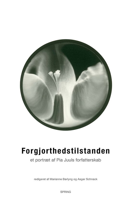 Cover for Marianne Barlyng &amp; Asger Schnack (red.) · Forgjorthedstilstanden (Poketbok) [1:a utgåva] (2022)