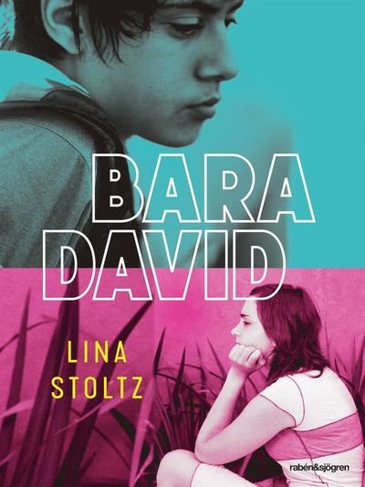 Bara David - Lina Stoltz - Bøger - Rabén & Sjögren - 9789129720143 - 17. april 2020