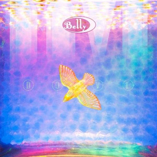 Cover for Belly · Dove (LP) (2018)