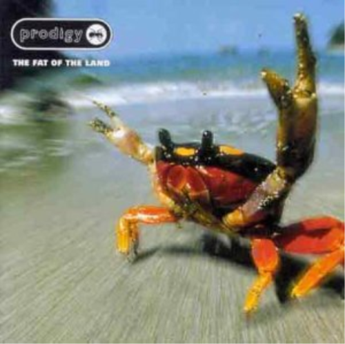 Cover for The Prodigy · Prodigy-fat of the Land-k7 (Kassett)