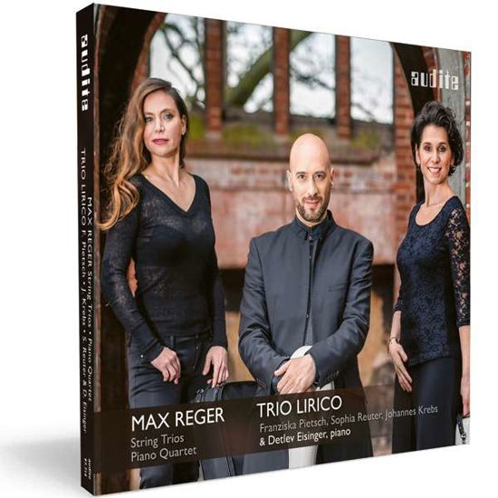 Cover for Reger / Eisinger · Complete String Trios &amp; Piano Quartet in a Minor (CD) (2017)