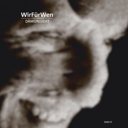 Cover for Wirfürwen · Dämonisiert (CD) (2013)