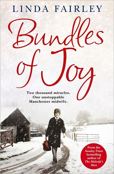 Cover for Linda Fairley · Bundles of Joy: Two Thousand Miracles. One Unstoppable Manchester Midwife (Paperback Book) (2012)