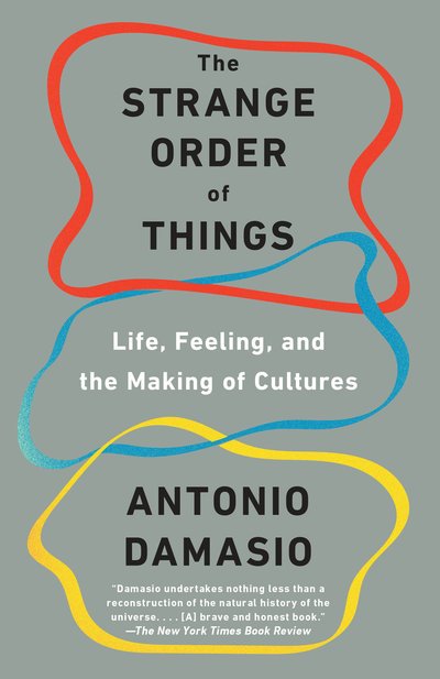 Cover for Antonio Damasio · The Strange Order of Things: Life, Feeling, and the Making of Cultures (Paperback Book) (2019)