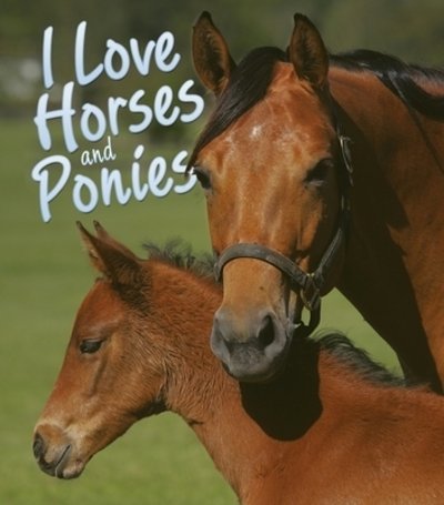 Cover for Nicola Jane Swinney · I Love Horses and Ponies (Buch) (2020)