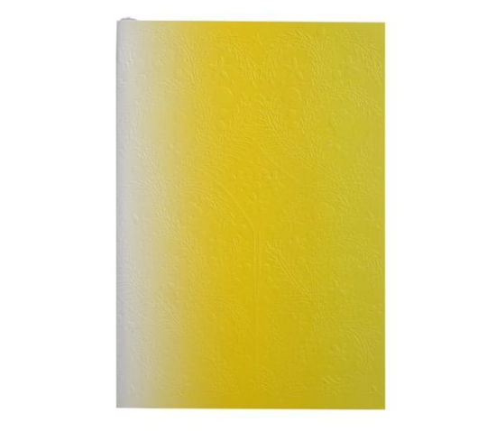 Christian Lacroix Neon Yellow A5 6" X 8" Ombre Paseo Notebook - Christian Lacroix - Kirjat - Galison - 9780735350144 - torstai 1. syyskuuta 2016
