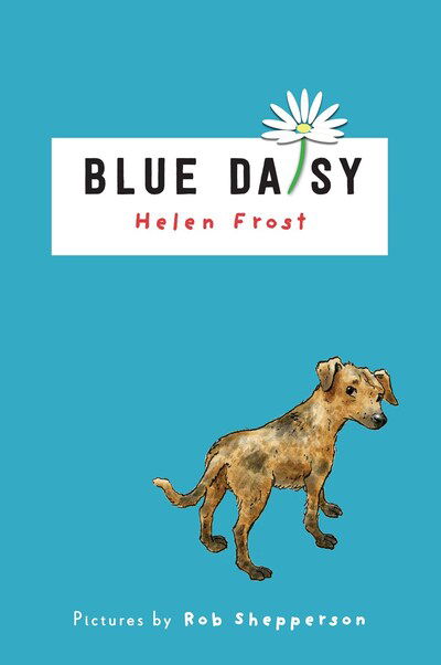 Cover for Helen Frost · Blue Daisy (Hardcover Book) (2020)