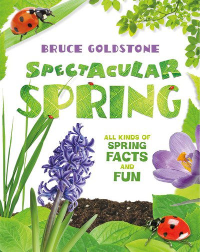 Spectacular Spring - Bruce Goldstone - Books - St Martin's Press - 9781250120144 - February 27, 2018