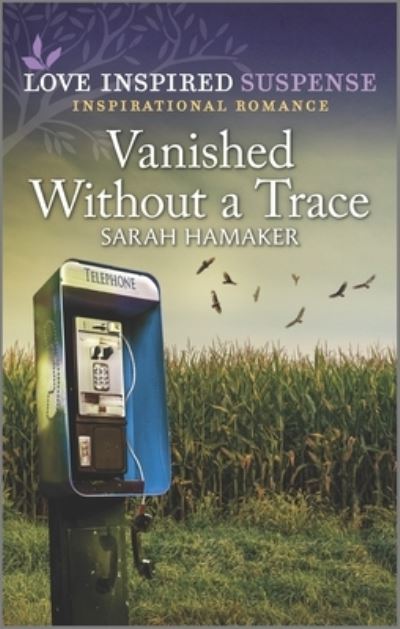 Cover for Sarah Hamaker · Vanished Without a Trace (Paperback Book) (2022)