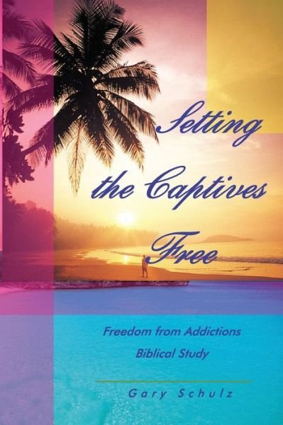 Cover for Gary Schulz · Setting the Captives Free (Paperback Book) (2012)