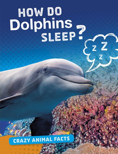 Cover for Nancy Furstinger · How Do Dolphins Sleep? - Crazy Animal Facts (Hardcover Book) (2019)