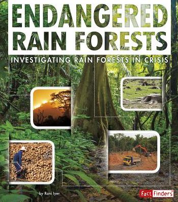 Cover for Rani Iyer · Rain Forests - Endangered Earth (Paperback Book) (2015)