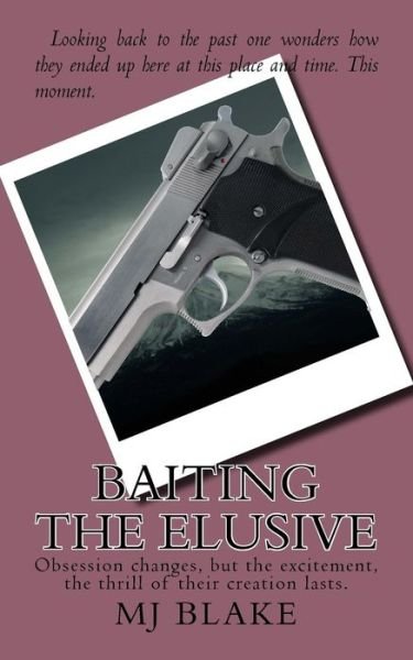 Cover for Mj Blake · Baiting the Elusive: Obsession Changes, but the Excitement, the Thrill of Their Creation Lasts. (Prey or Predator) (Volume 2) (Paperback Bog) (2014)