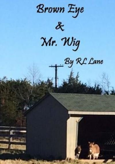 Cover for Rl Lane · Brown Eye &amp; Mr. Wig (Paperback Bog) (2017)
