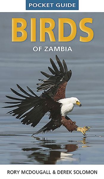 Cover for Derek Solomon · Pocket Guide Birds of Zambia - Pocket Guide series (Paperback Book) (2021)