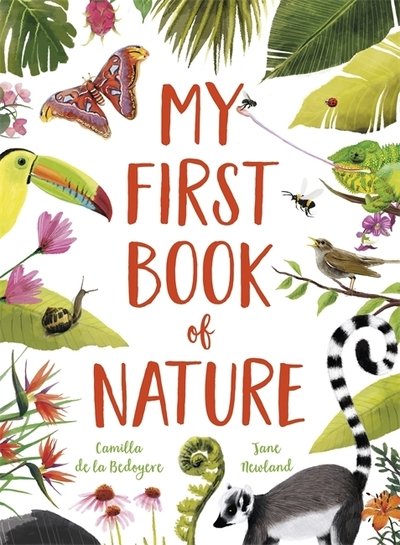 Cover for Camilla De La Bedoyere · My First Book of Nature: With 4 sections and wipe-clean spotting cards (Paperback Book) (2020)