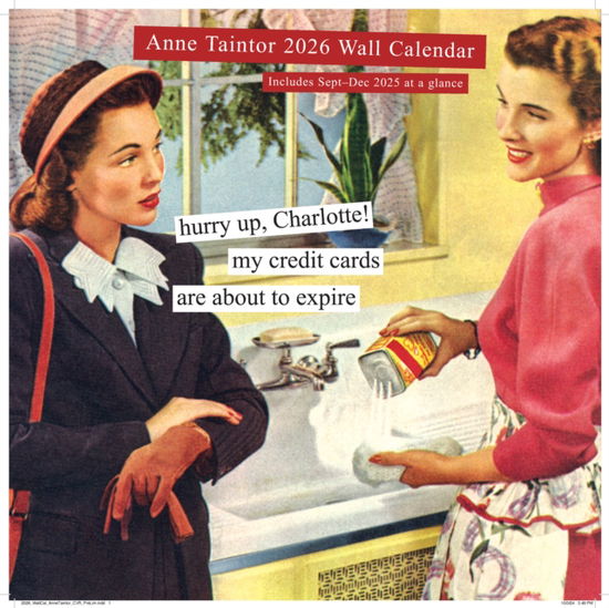 Cover for Anne Taintor · Anne Taintor 2026 Wall Calendar (Calendar) (2025)