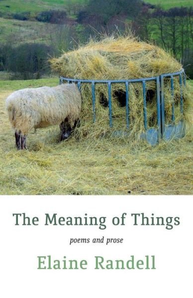 Cover for Elaine Randell · The Meaning of Things (Paperback Book) (2017)