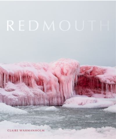 Redmouth - Claire Wahmanholm - Livros - Tinderbox Editions - 9781943981144 - 29 de outubro de 2019