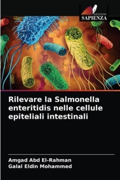 Cover for Amgad Abd El-Rahman · Rilevare la Salmonella enteritidis nelle cellule epiteliali intestinali (Pocketbok) (2021)
