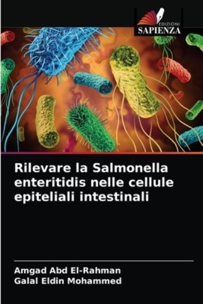 Cover for Amgad Abd El-Rahman · Rilevare la Salmonella enteritidis nelle cellule epiteliali intestinali (Taschenbuch) (2021)