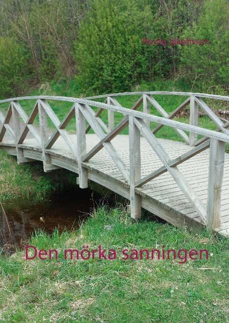 Cover for Rosita Jakobsson · Den mörka sanningen (Hardcover Book) (2015)