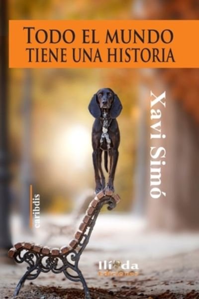 Cover for Xavi Simo · Todo el mundo tiene una historia (Paperback Book) (2020)