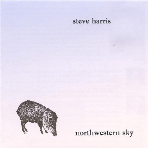 Cover for Steve Harris · Northwestern Sky (CD) (2005)