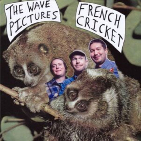 Cover for Wave Pictures · French Cricket (LP) (2023)