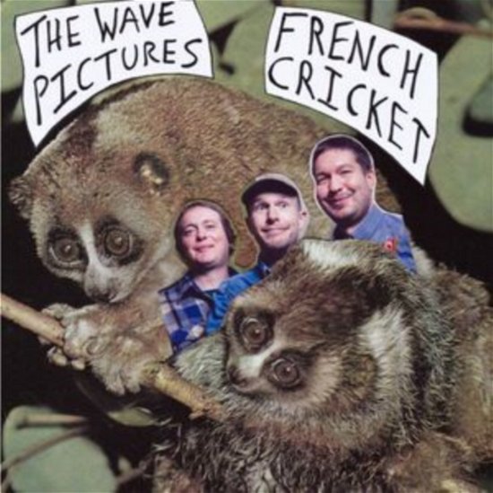 Cover for Wave Pictures · French Cricket (LP) (2022)