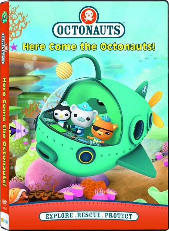 Cover for Octonauts: Here Come the Octonauts (DVD) (2014)