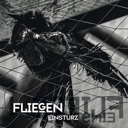 Cover for Einsturz · Fliegen (CD) (2019)