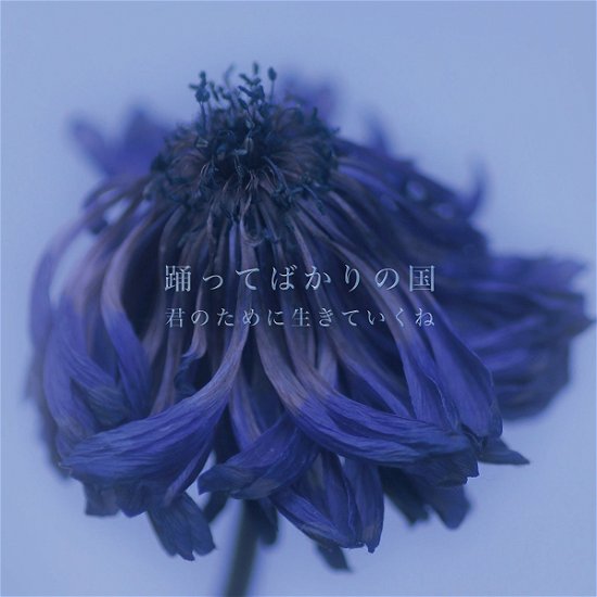 Cover for Odottebakarinokuni · Kimi No Tame Ni Ikite Ikune (CD) [Japan Import edition] (2018)