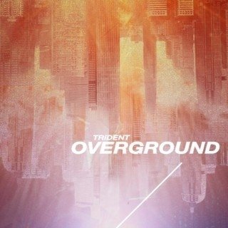 Over Ground - Trident - Musik - JPM - 4582515763145 - 17. december 2021