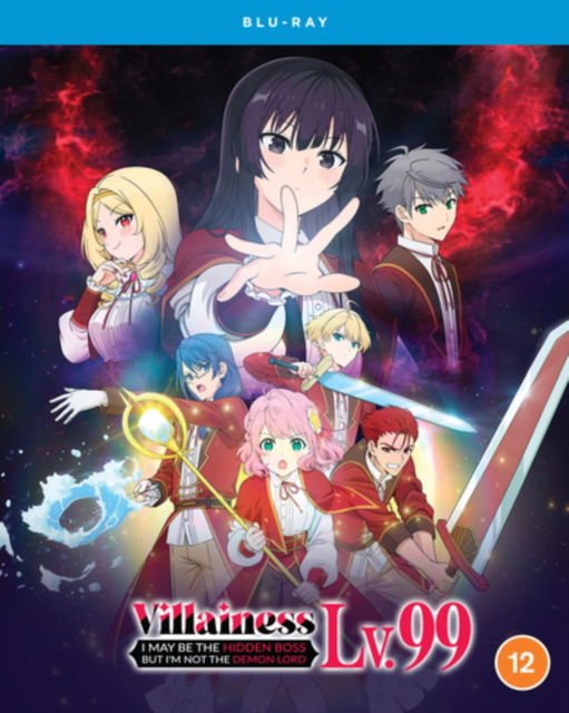 Villainess Level 99 - I May Be The Hidden Boss But Im Not The Demon Lord - The Complete Season - Movie - Movies - Crunchyroll - 5022366020145 - January 13, 2025